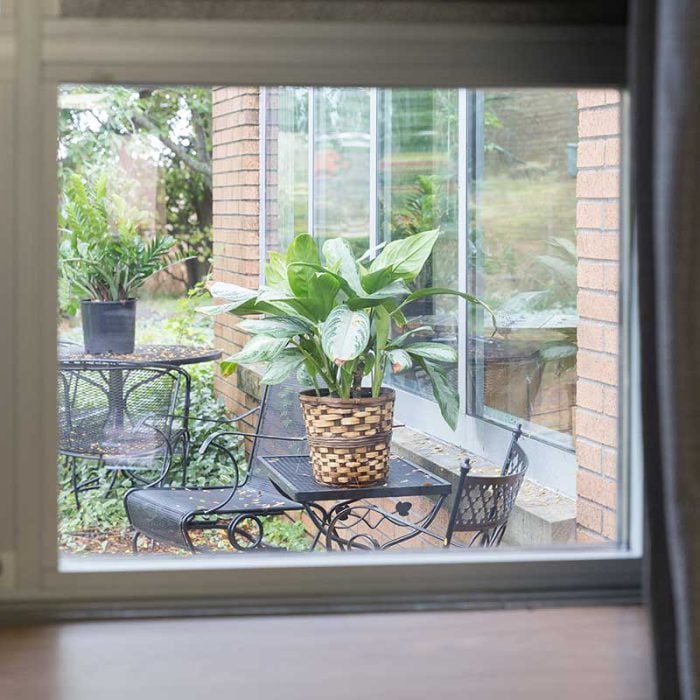 Window Showing Outside Seating-Independent Living in Corunna, Michigan
